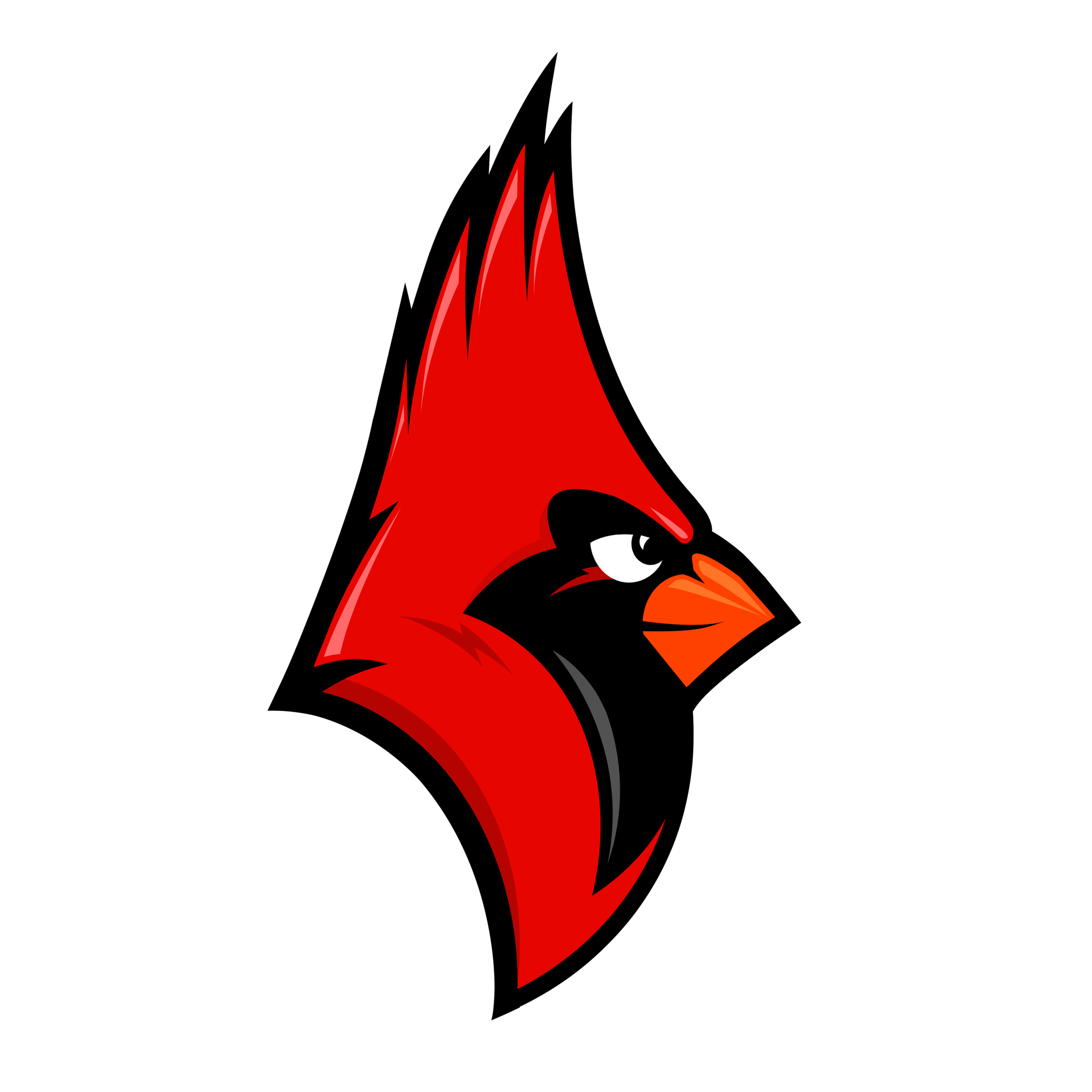 Kirk MS Cardinal Border East Cleveland City Schools Young Redd Mascot