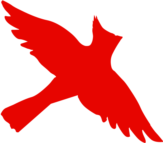 Cardinal Take Flight